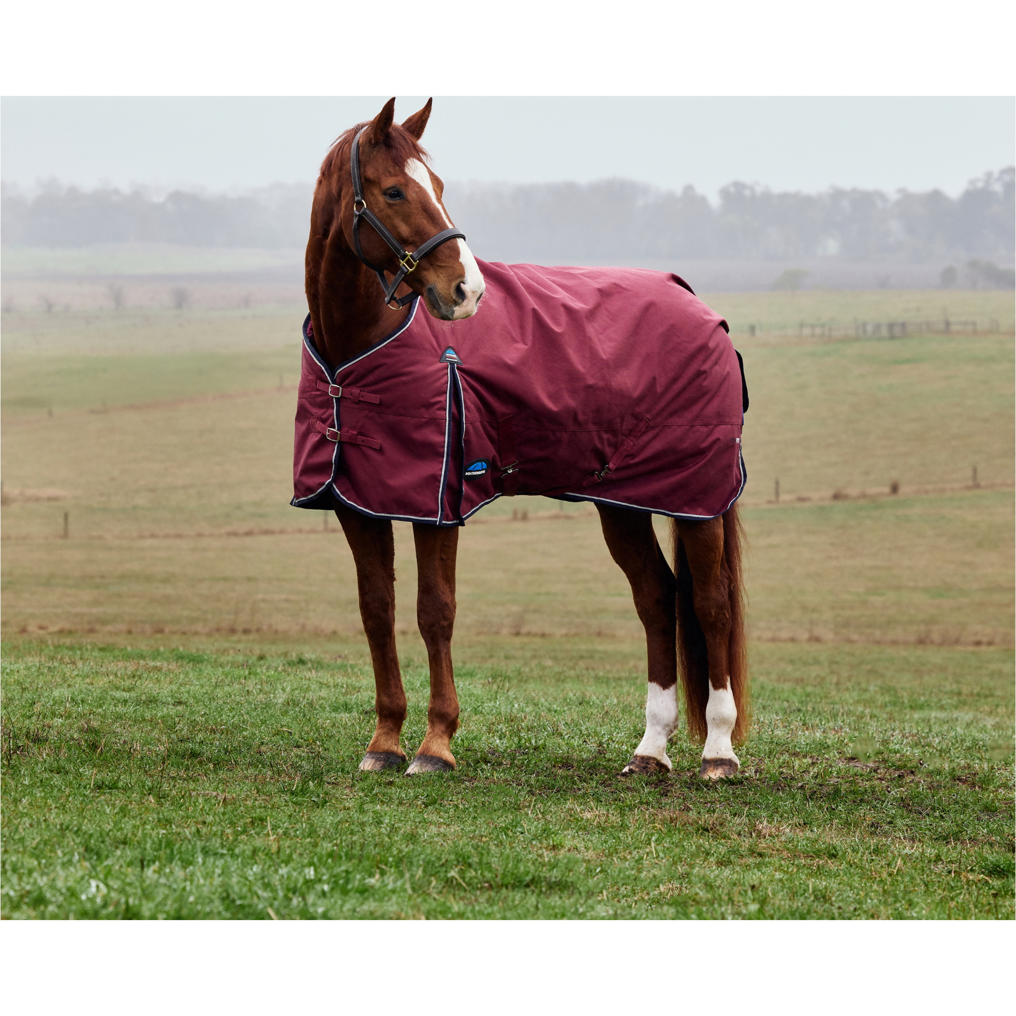 2025 Weatherbeeta Comfitec Prelim Turnout 1029033 - Burgundy